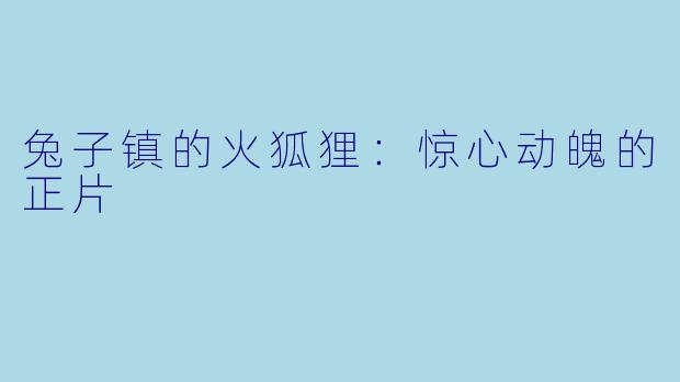 兔子镇的火狐狸：惊心动魄的正片