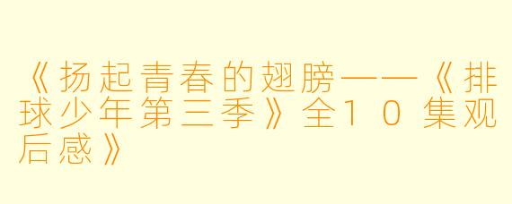 《扬起青春的翅膀——《排球少年第三季》全10集观后感》