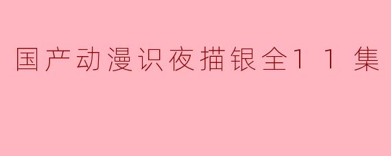 国产动漫识夜描银全11集