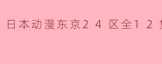 日本动漫东京24区全12集