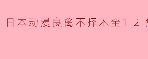 日本动漫良禽不择木全12集高清版在哪里可以观看？
