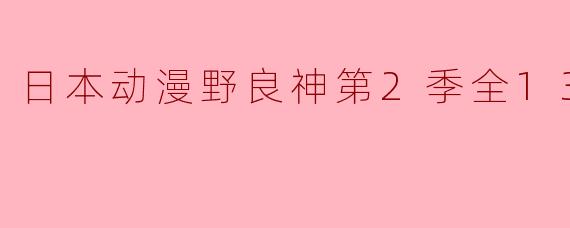 日本动漫野良神第2季全13集