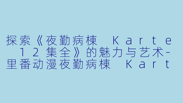 探索《夜勤病棟 Karte 12集全》的魅力与艺术