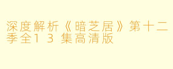 深度解析《暗芝居》第十二季全13集高清版