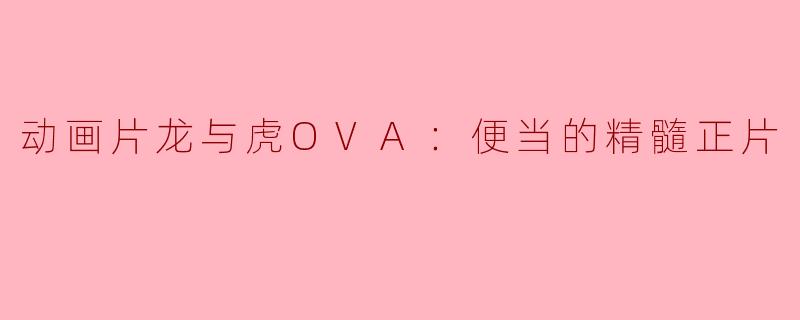 ### 动画片《龙与虎OVA：便当的精髓正片》评析