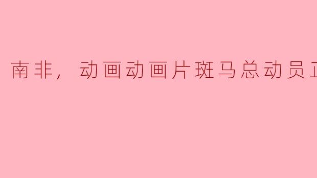 南非,动画动画片斑马总动员正片