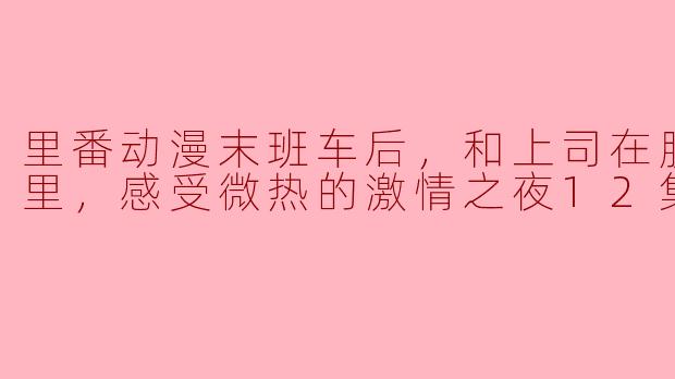 里番动漫末班车后，和上司在胶囊旅馆里，感受微热的激情之夜12集全