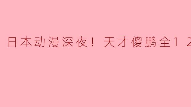 ### 日本动漫《深夜！天才傻鹏》全12集观感