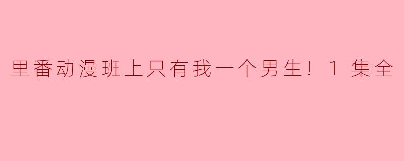 这部动画的主要情节是什么？