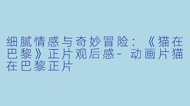 细腻情感与奇妙冒险：《猫在巴黎》正片观后感-动画片猫在巴黎正片