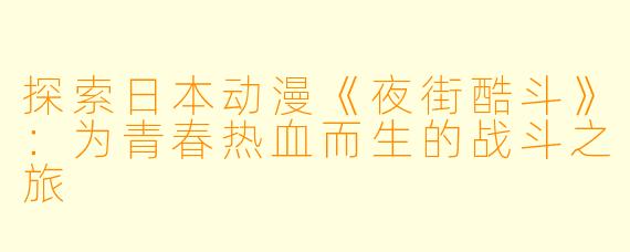 探索日本动漫《夜街酷斗》：为青春热血而生的战斗之旅