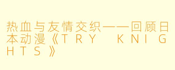 热血与友情交织——回顾日本动漫《TRY KNIGHTS》