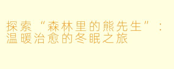 探索“森林里的熊先生”：温暖治愈的冬眠之旅