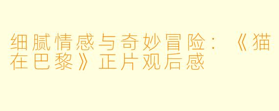 细腻情感与奇妙冒险：《猫在巴黎》正片观后感
