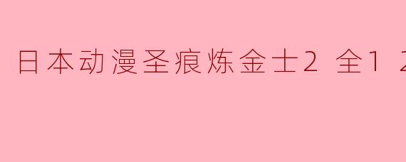 日本动漫圣痕炼金士2全12集