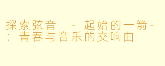 探索弦音 -起始的一箭-：青春与音乐的交响曲