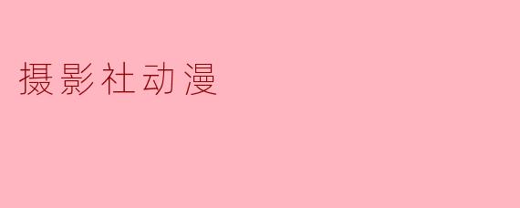 摄影社动漫