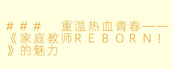 ### 重温热血青春——《家庭教师REBORN！》的魅力