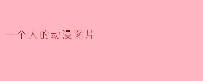 孤独与梦想:一个人的动漫世界