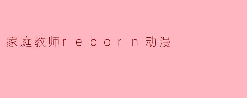 家庭教师reborn动漫