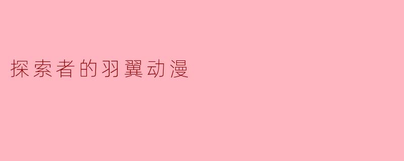 探索者的羽翼动漫