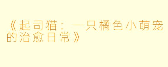 《起司猫：一只橘色小萌宠的治愈日常》