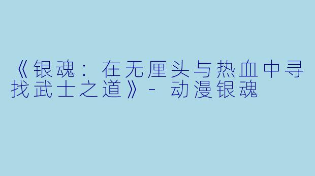 《银魂：在无厘头与热血中寻找武士之道》-动漫银魂