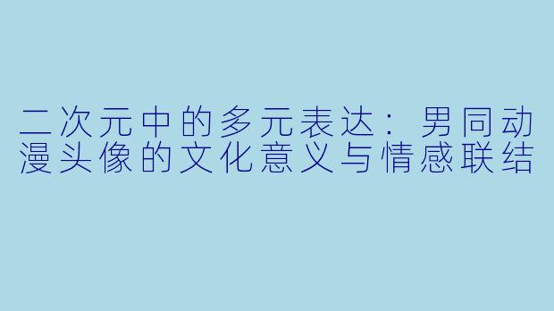 二次元中的多元表达：男同动漫头像的文化意义与情感联结