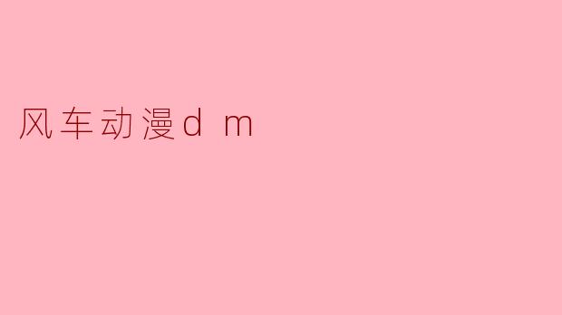 风车动漫dm
