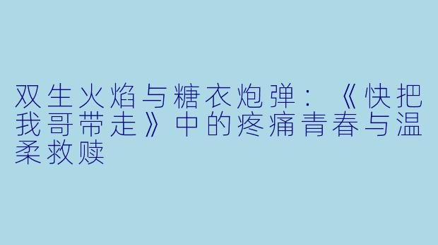 双生火焰与糖衣炮弹：《快把我哥带走》中的疼痛青春与温柔救赎