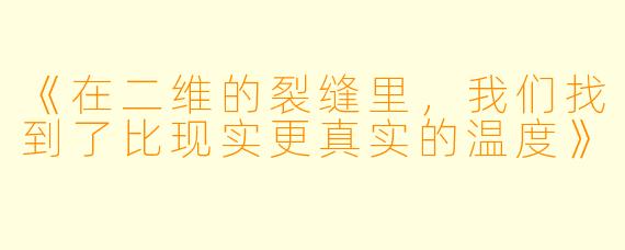 《在二维的裂缝里，我们找到了比现实更真实的温度》