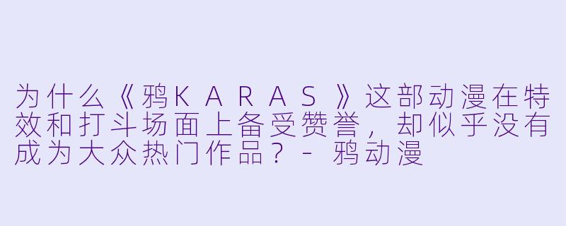 为什么《鸦KARAS》这部动漫在特效和打斗场面上备受赞誉，却似乎没有成为大众热门作品？-鸦动漫