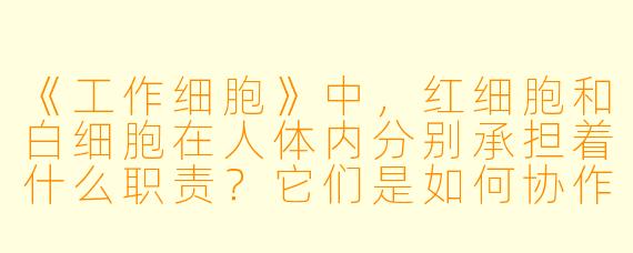 《工作细胞》中，红细胞和白细胞在人体内分别承担着什么职责？它们是如何协作完成氧气运输和免疫防御的？