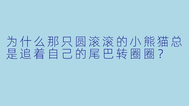 为什么那只圆滚滚的小熊猫总是追着自己的尾巴转圈圈？