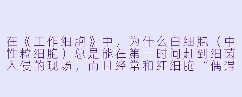 在《工作细胞》中，为什么白细胞（中性粒细胞）总是能在第一时间赶到细菌入侵的现场，而且经常和红细胞“偶遇”？-工作细胞 动漫