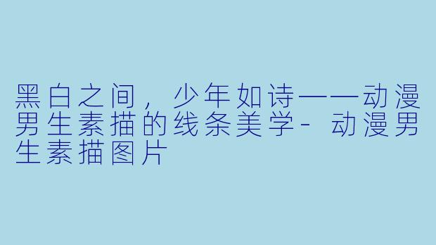 黑白之间,少年如诗——动漫男生素描的线条美学-动漫男生素描图片