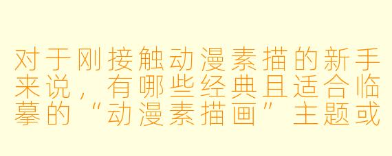 对于刚接触动漫素描的新手来说，有哪些经典且适合临摹的“动漫素描画”主题或角X  可以推荐？练习时最需要注意的核心技巧是什么？