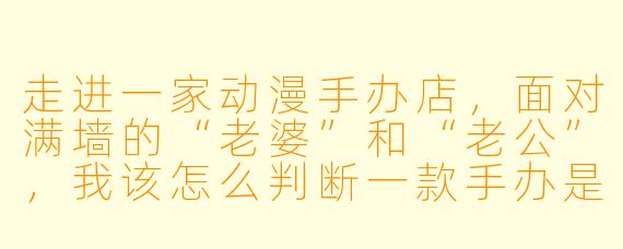 走进一家动漫手办店,面对满墙的“老婆”和“老公”,我该怎么判断一款手办是“理财产品”还是“信仰税”?