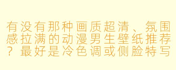 有没有那种画质超清、氛围感拉满的动漫男生壁纸推荐?最好是冷X 调或侧脸特写,适合做手机或电脑桌面。