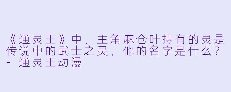 《通灵王》中，主角麻仓叶持有的灵是传说中的武士之灵，他的名字是什么？-通灵王动漫